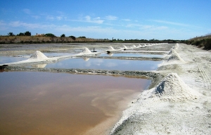 Salt Evaporation Using Solar Energy